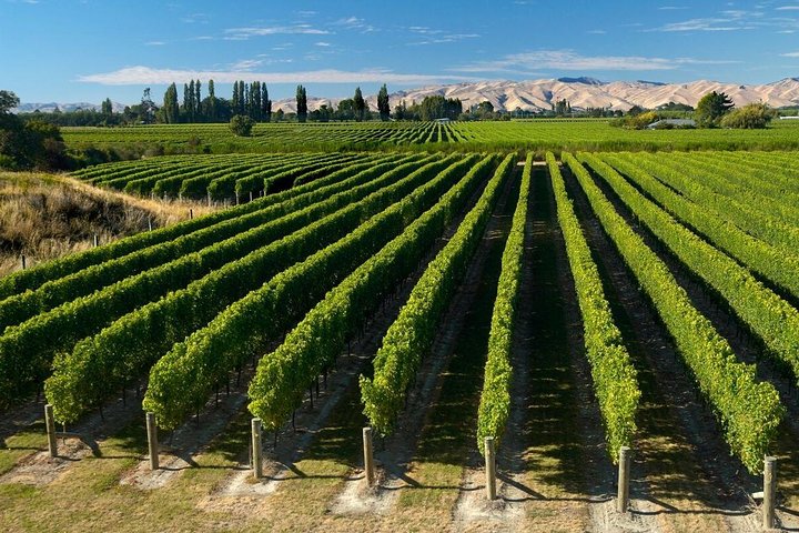 From Picton to Blenheim wine tours
