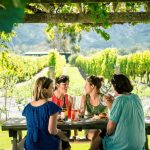 Wine and food tours in New Zealand