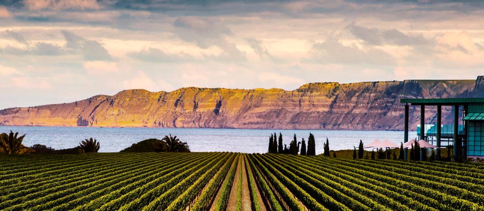 Wine tours in New Zealand