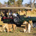 Botswana Safaris And Excursions