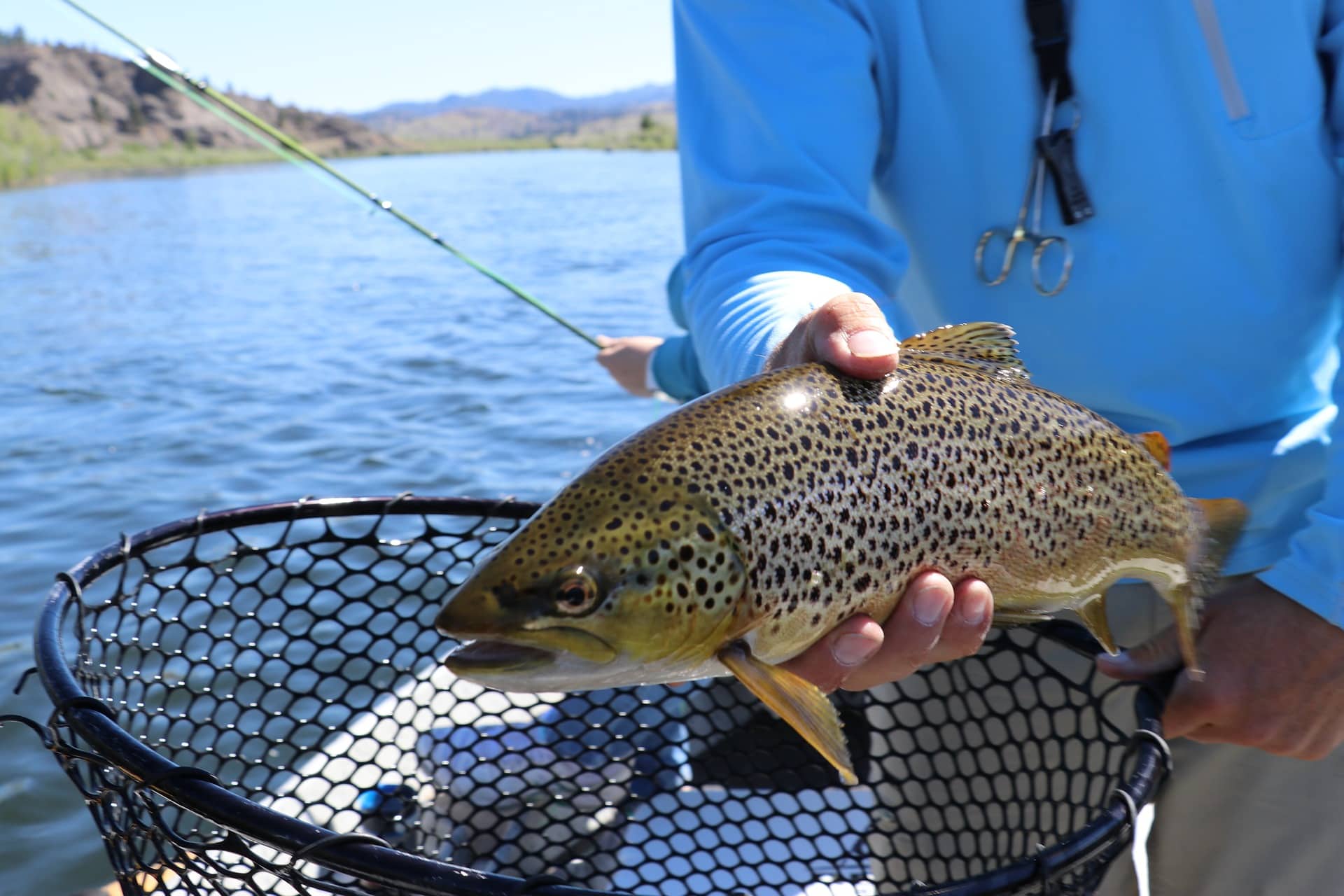 The Best Fishing Areas In New Zealand